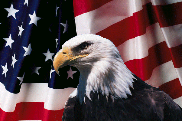 free clip art eagle and flag - photo #22